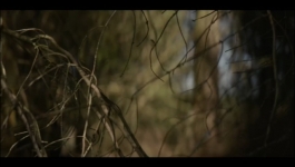 Cooper and Fry - Season 01 Episode 01